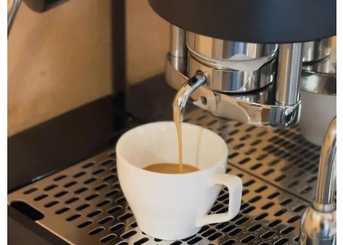 San Paolo Design 피아첸차